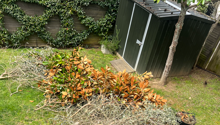 Garden Waste Sitting In the Lawn of A House